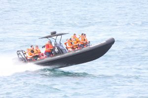 Read more about the article 15 Best things to do in Mossel Bay